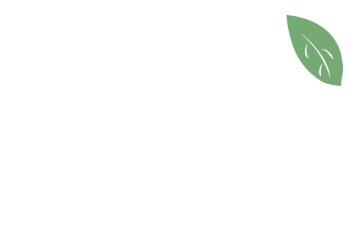 Vida Gynecology - Logo